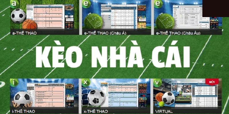 Trực Tiếp Kèo Nhà Cái Các Loại Kèo Live Phổ Biến